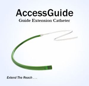 Guide Extension Catheter