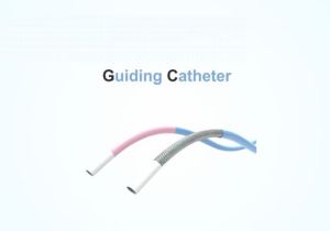 Guiding Catheter