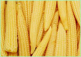 Baby Corn