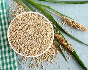 Common Sorghum (Jowar) Millet, Packaging Type : PP Bags