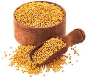 Uttara Koushal Yellow Mustard Seeds For Oil Purpose, Spices, Food Medicine, Cooking, ETC