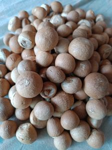 Raw Organic Areca Nut, Certification : FSSAI