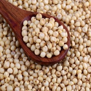 Sorghum Seeds, Certification : FSSAI Certified