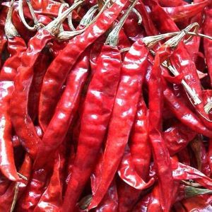 Raw Organic Teja Dried Red Chilli For Cooking