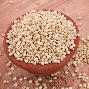 Sorghum Seeds For Agriculture