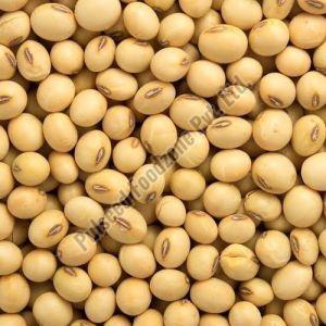 Natural Soybean Seeds For Human Consumption