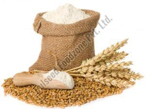 wheat flour