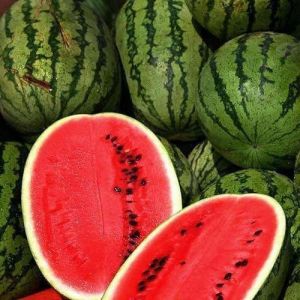 fresh watermelon