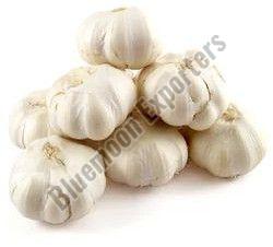 A Grade White Fresh Garlic, Packaging Size : 10 Kg