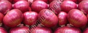 Fresh Big Red Onion For Cooking