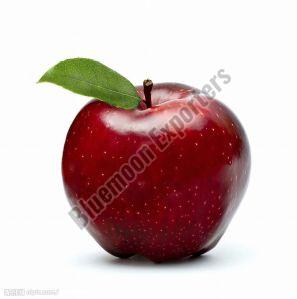 Kashmiri A Grade Fresh Apple For Human Consumption