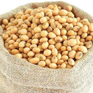 Soybean Seeds