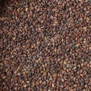 Organic Brown Sesame Seeds, Seed Type : Natural