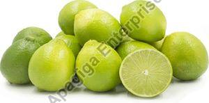 Organic Fresh Lemon, Taste : Sour