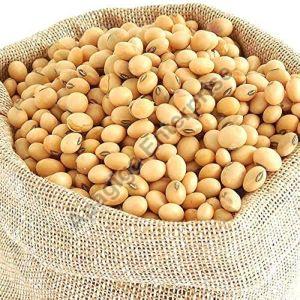 Organic Soybean Seeds, Certification : FSSAI Certified