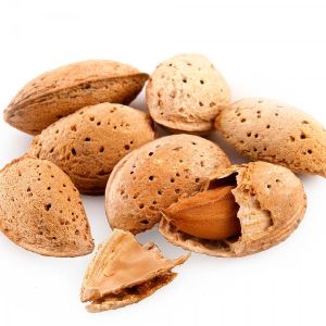 Kashmiri Shelled Almonds, Packaging Type : Plastic Packet