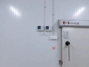 Pharma Cold Storage Room