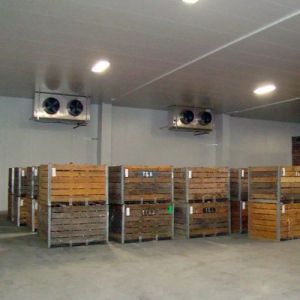 Potato Cold Storage Room