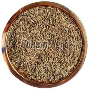 Dried Cumin Seeds For Cooking, Spices