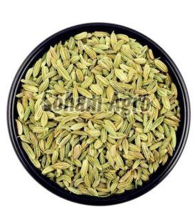 Dried Fennel Seeds, Certification : FSSAI Certified