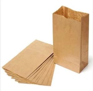 Paper Grocery Bag