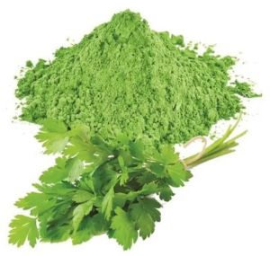 Coriander Leaf Powder