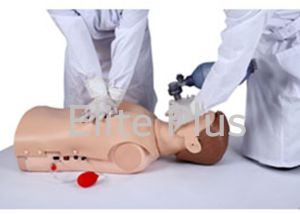 Advanced Half Body CPR Training Manikin   with Voice Indication