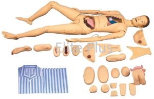 Basic Combination Nursing Manikin