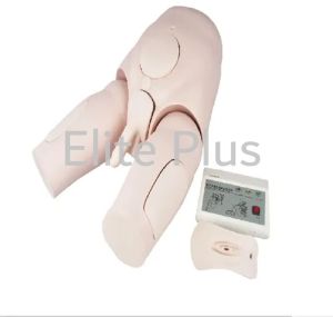 Electronic Catheterization &AMP;AMP; Enema Model With Alarm Sound On Monitor (Unisex)