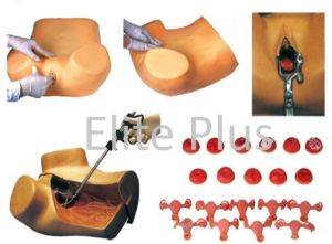 Gynaecological Examination Model