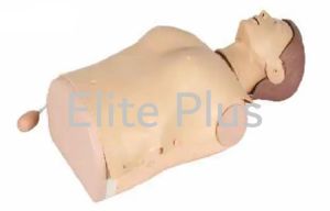 Half Body CPR Training Manikin Without Light