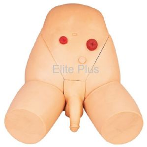 GD PVC Plastic Male Catheterization Training Simulator, Shape : Human Shape