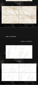 Vitrified Porcelain Tiles 60*120