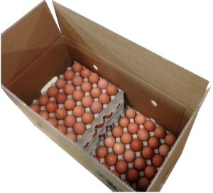 Plain Corrugated Paper Egg Packaging Box, Shape : Rectagular