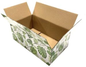 Multicolor Offset Printed Corrugated Box