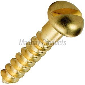 Round Head Brass Slotted Screw For Fitting Use