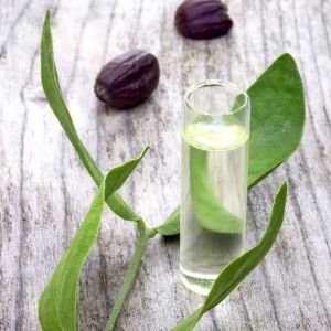 Jojoba Oil White For Skin Care Products