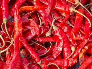 CHILLI RED