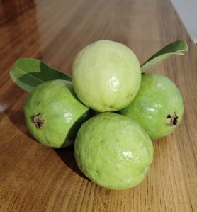 Organic Green Guava For Human Consumption