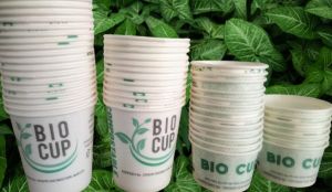 Bio Compostable Paper Cup