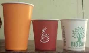 Eco Friendly Disposable Paper Cup