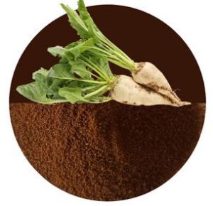 Chicory Powder