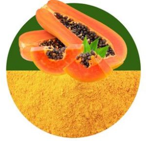 Papaya Powder