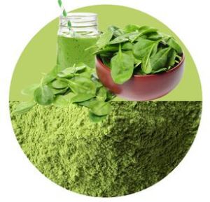 Spinach Powder