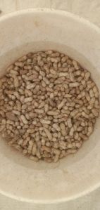 shelled groundnuts