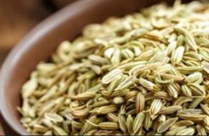 Fennel Seeds, Color : Green