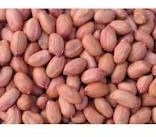 SF308 Bold Peanuts, Packaging Size : 25-50 Kg