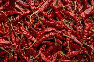 Kashmiri Red Chilli