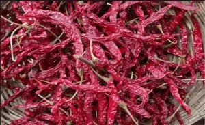 Teja Red Chilli