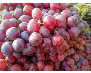 Fresh Organic Red Grapes